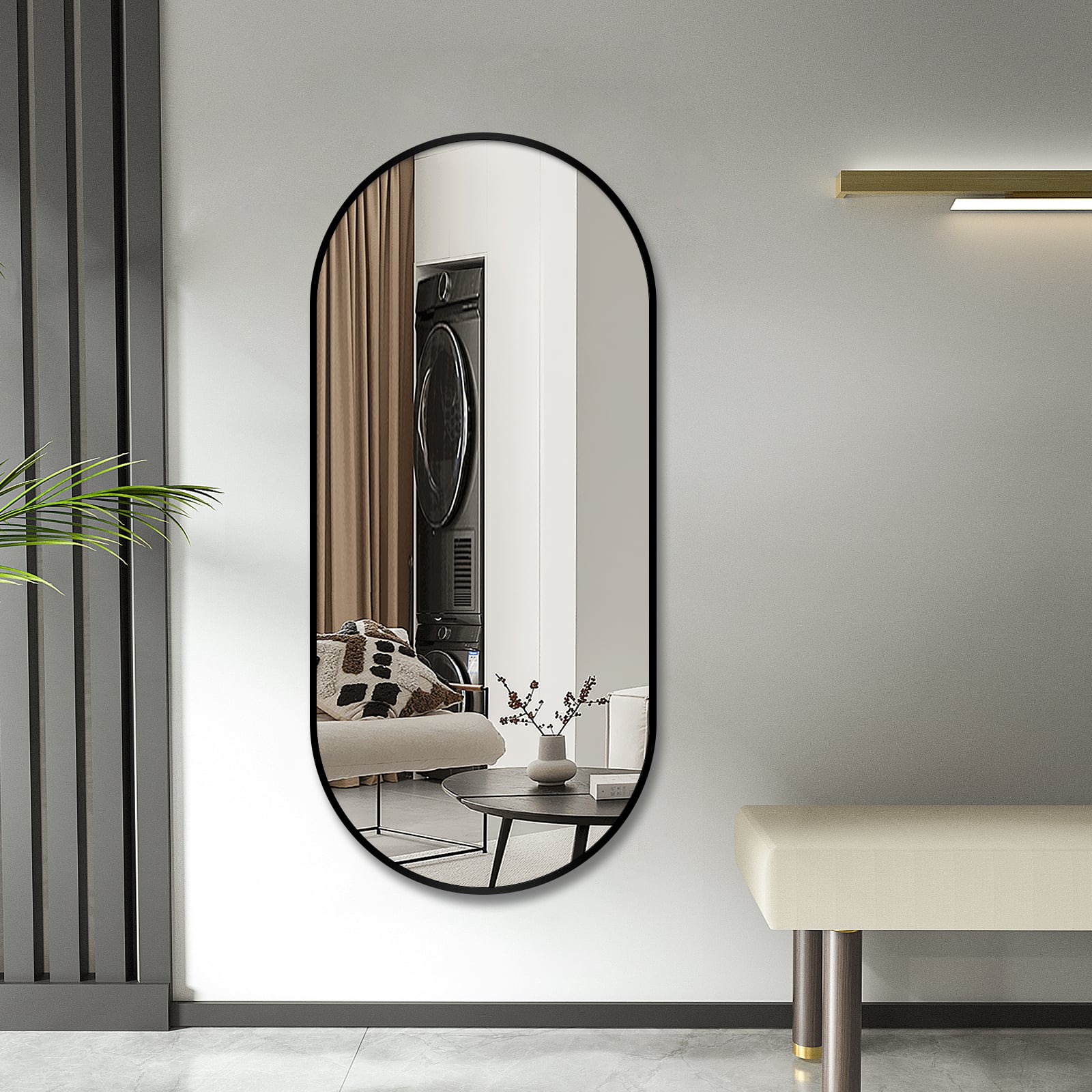 Wall Mounted Dressing Mirror